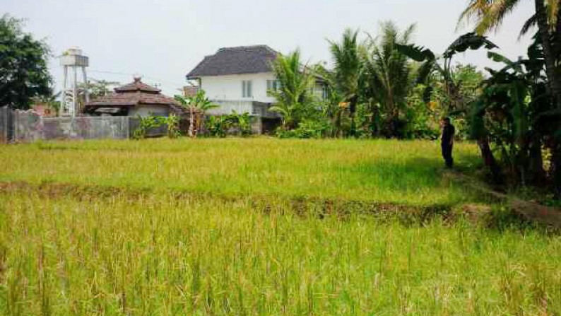 Dijual kavling (sawah) lokasi pinggir jalan, Daerah sukabumi, jabar