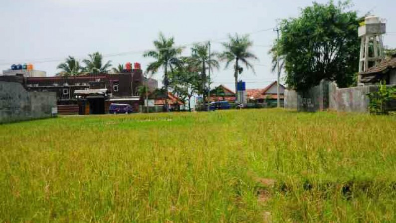 Dijual kavling (sawah) lokasi pinggir jalan, Daerah sukabumi, jabar