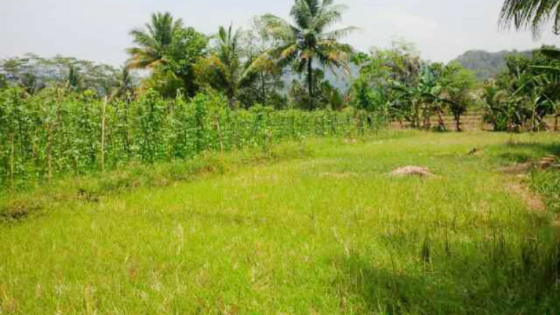 Dijual kavling (sawah) lokasi pinggir jalan, Daerah sukabumi, jabar