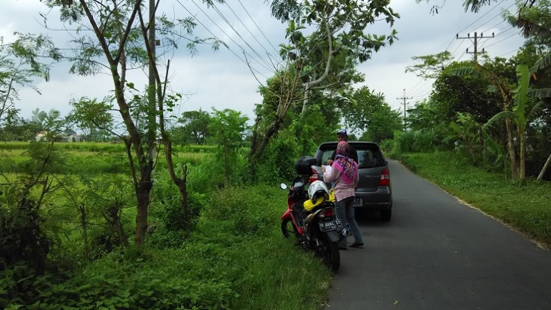 TANAH SAWAH DIJUAL DISIDOMOYO, GODEAN, SLEMAN, YOGYAKARTA.