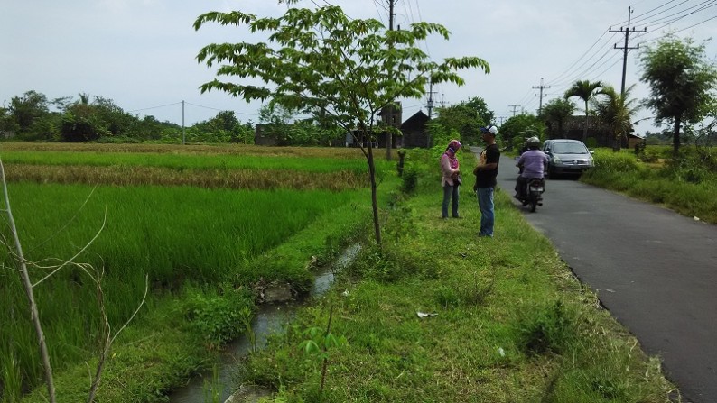 TANAH SAWAH DIJUAL DISIDOMOYO, GODEAN, SLEMAN, YOGYAKARTA.