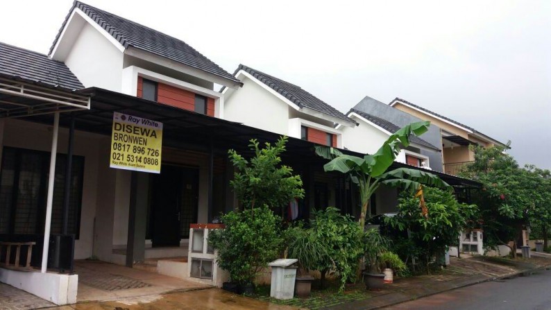 DISEWAKAN RUMAH MURAH DI MELIA GROOVE , GRAHA RAYA