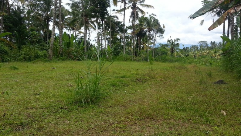 3500 sq m of Freehold Land with Mountain and Valley Views for Sale Just 25 Minutes from Ubud Center
