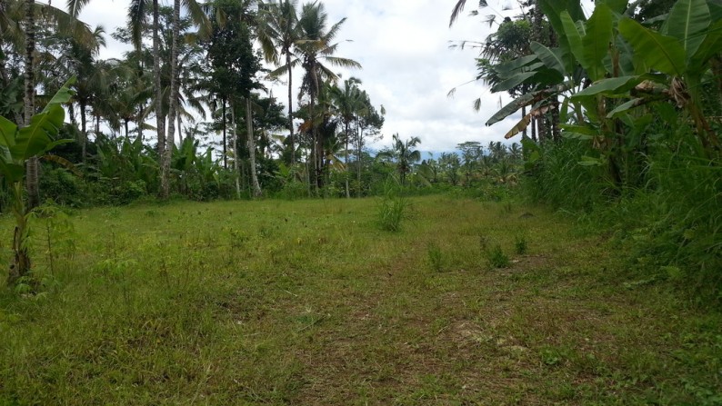 3500 sq m of Freehold Land with Mountain and Valley Views for Sale Just 25 Minutes from Ubud Center
