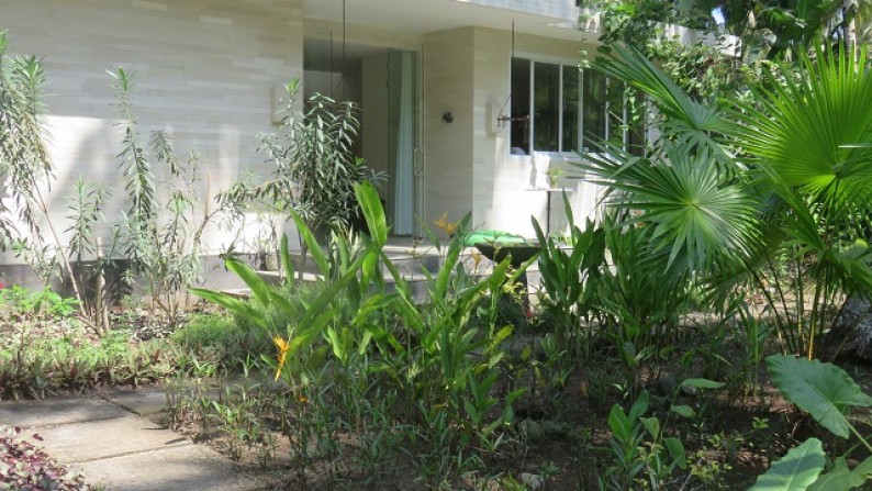 Spacious Beach Front Villa At Pekutatan Jembrana