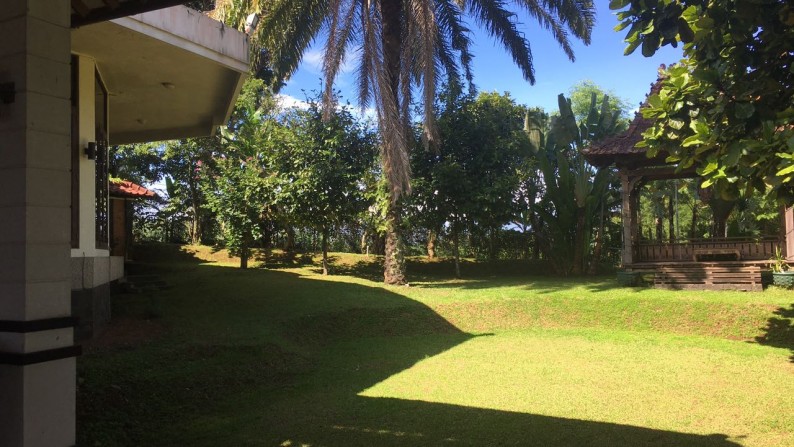 Villa Dengan Halaman Yang Luas @VILLA PURI CINTA Cipayung, Gadog