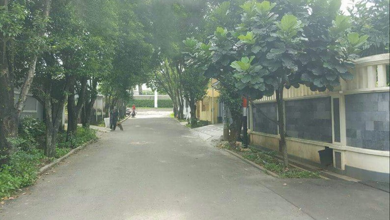 RUMAH MEWAH LUAS DENGAN SUASANA ALAM YANG INDAH DAN MENARIK DI AREA GINTUNG