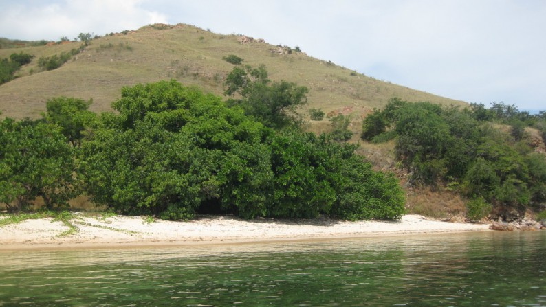 Unique Beachfront Land Labuan Bajo / Komodo Islands