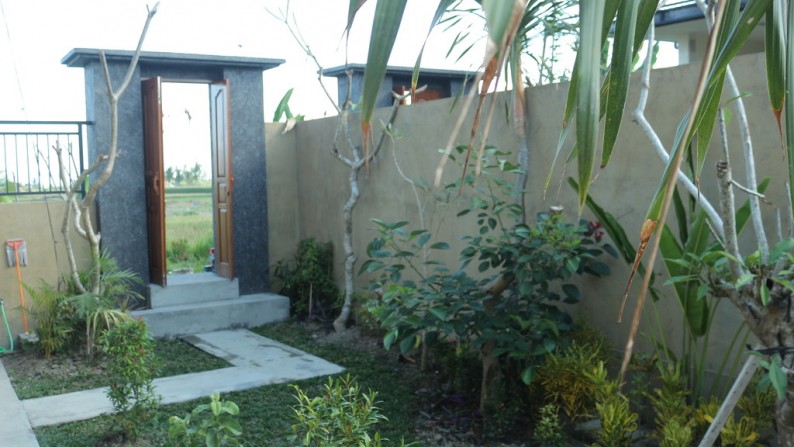 Just 5 Minute from Ubud Center Brand New 1 Bedroom Villa for Rent with Beautiful Rice Field View