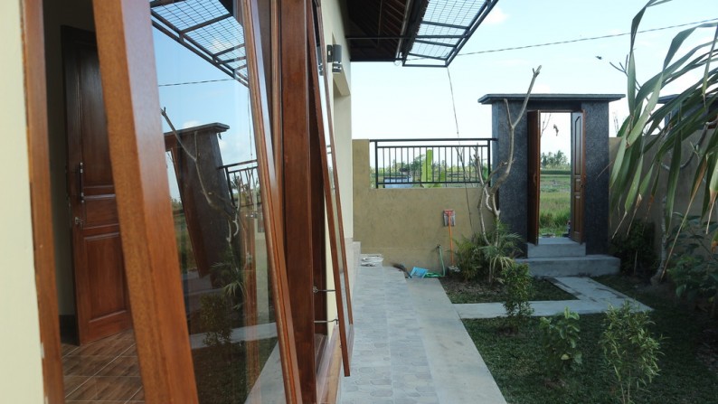 Just 5 Minute from Ubud Center Brand New 1 Bedroom Villa for Rent with Beautiful Rice Field View