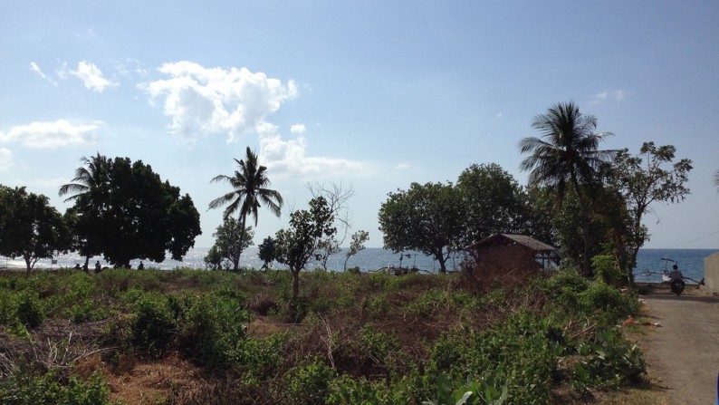 Absolute Beachfront Land in Gerokgak, Buleleng