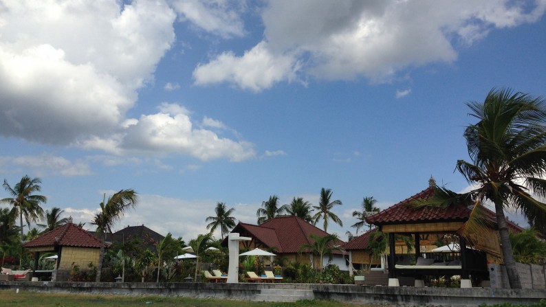 Absolute Beachfront Land in Gerokgak, Buleleng