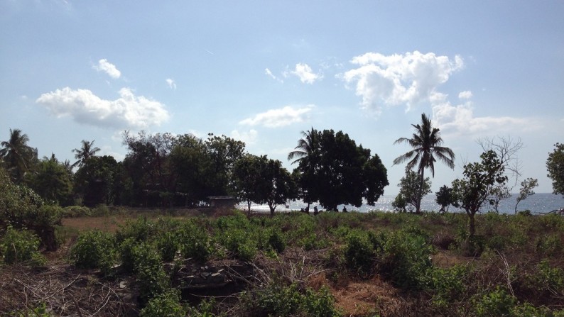 Absolute Beachfront Land in Gerokgak, Buleleng