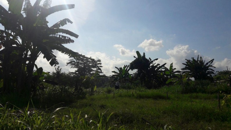 100 Sq m of Freehold Land for Sale Located in Gianyar just 30 Minute from Ubud Center