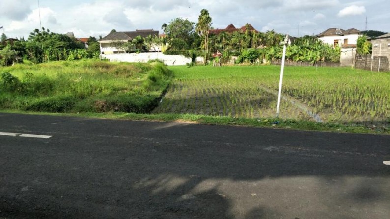 Etnic style villa di kerobokan bali