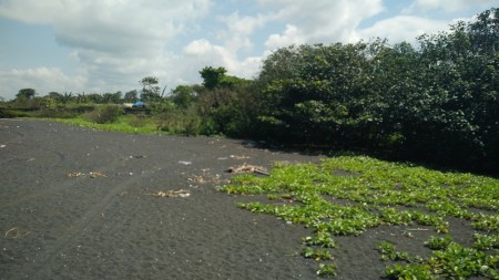 OCean Front Land At Klungkung Area