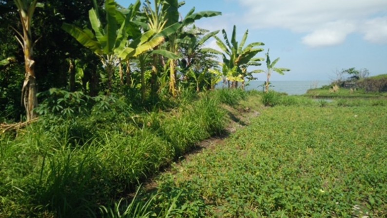 OCean Front Land At Klungkung Area