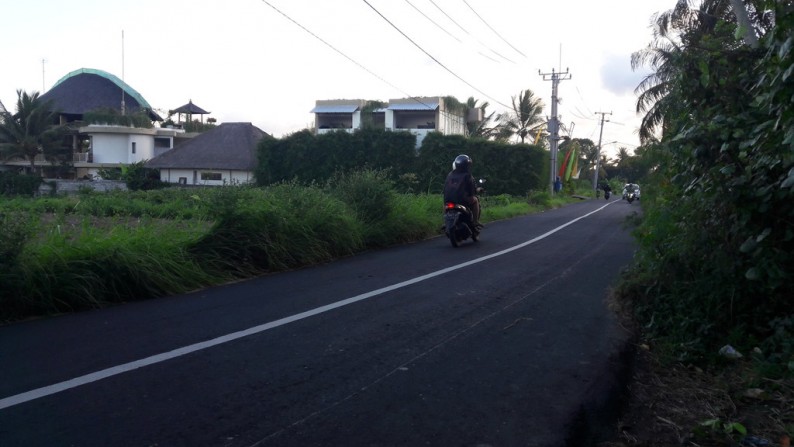 1200 Sq m of Freehold Land For Sale Close to Beach and Just 20 Minutes from Ubud Center