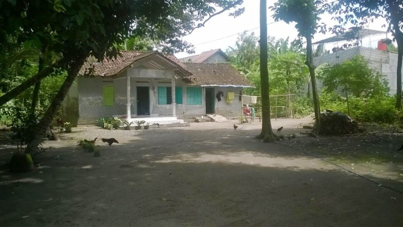 TANAH LUAS COCOK UNTUK RUMAH, JONGKE JL MAGELANG KM 7.