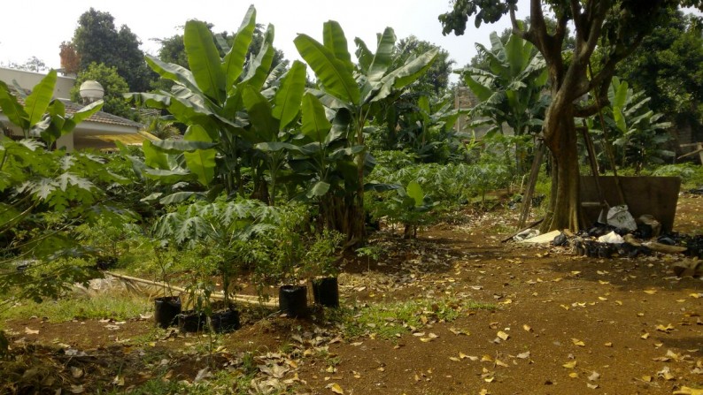 Tanah di Kebagusan Raya dijual Cepat