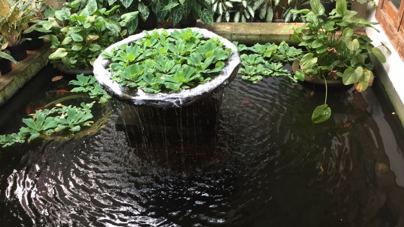 Rumah Siap Huni di Kemang Utara, Jakarta Selatan