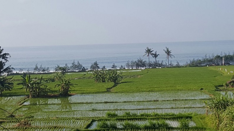 Tanah Ida Bagus Mantra dekat Komune Resort