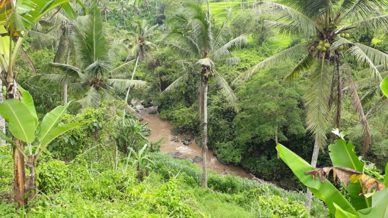 Tanah Lembah Pinggir Sungai 2,6 ha di Pujut Paku