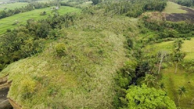 Tanah Lembah Pinggir Sungai 2,6 ha di Pujut Paku