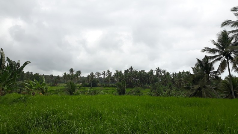 Tanah Lembah Pinggir Sungai 2,6 ha di Pujut Paku