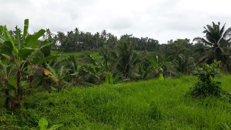 Tanah Lembah Pinggir Sungai 2,6 ha di Pujut Paku