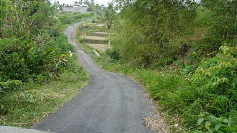 Tanah Lembah Pinggir Sungai 2,6 ha di Pujut Paku