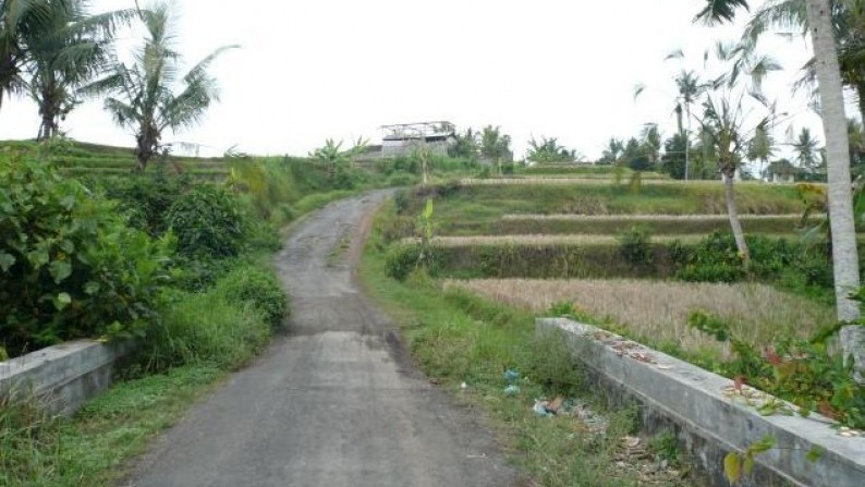 Tanah Lembah Pinggir Sungai 2,6 ha di Pujut Paku