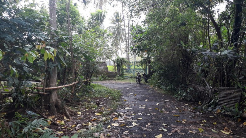 Tanah Lembah Pinggir Sungai 2,6 ha di Pujut Paku