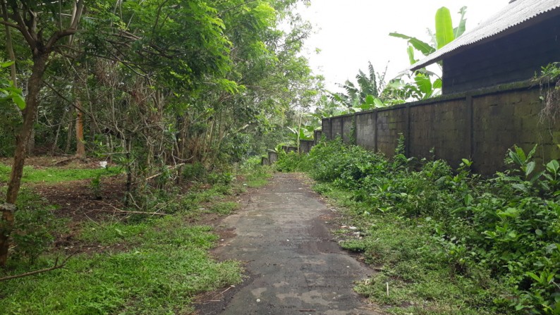 Tanah Lembah Pinggir Sungai 2,6 ha di Pujut Paku