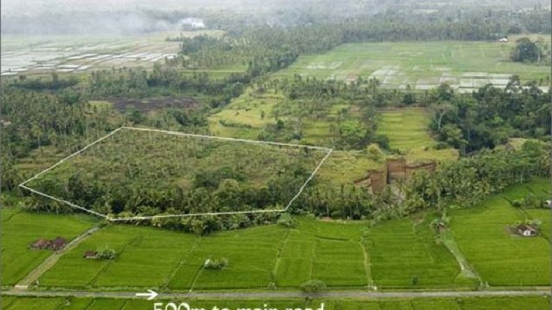 Tanah Lembah Pinggir Sungai 2,6 ha di Pujut Paku