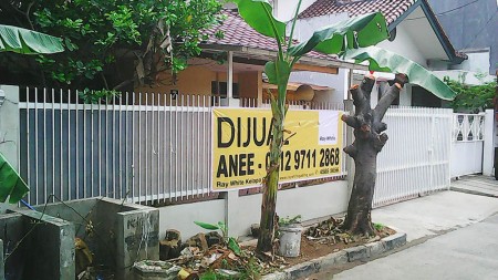 Rumah Kayu Putih Utara, Luas 10x20m2