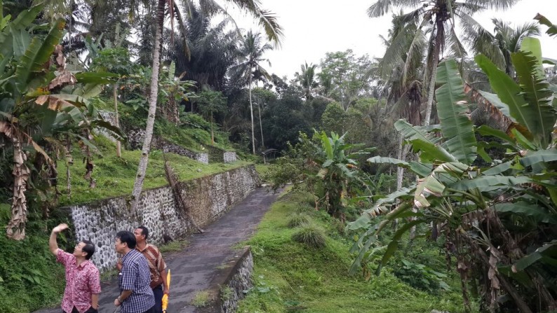 Dijual Tanah di Ubud, Bali