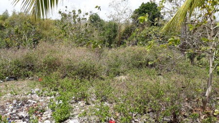 Tanah Cantik Pinggir Jalan, 500m dr Pantai Bingin