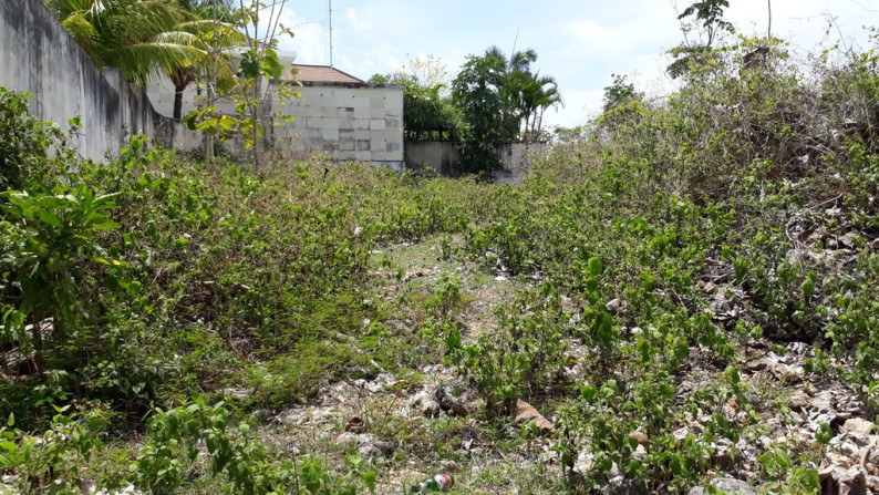 Tanah Cantik Pinggir Jalan, 500m dr Pantai Bingin