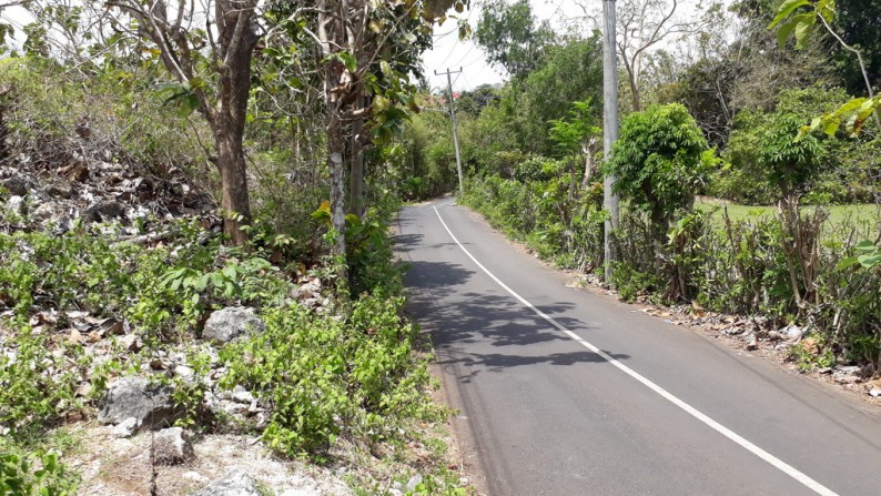 Tanah Cantik Pinggir Jalan, 500m dr Pantai Bingin