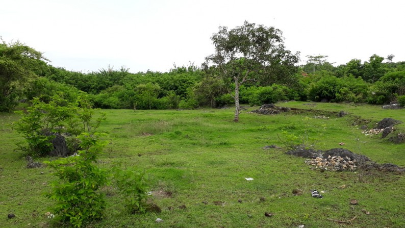 Tanah 4,2ha Unblock View Cantik di Bali Cliff