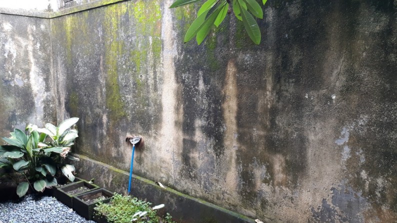 Rumah Mungil dan Nyaman di Muding