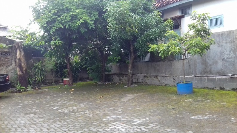 Tanah bonus 3 bangunan rumah.