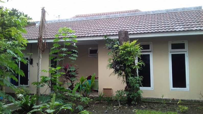 Tanah bonus 3 bangunan rumah.