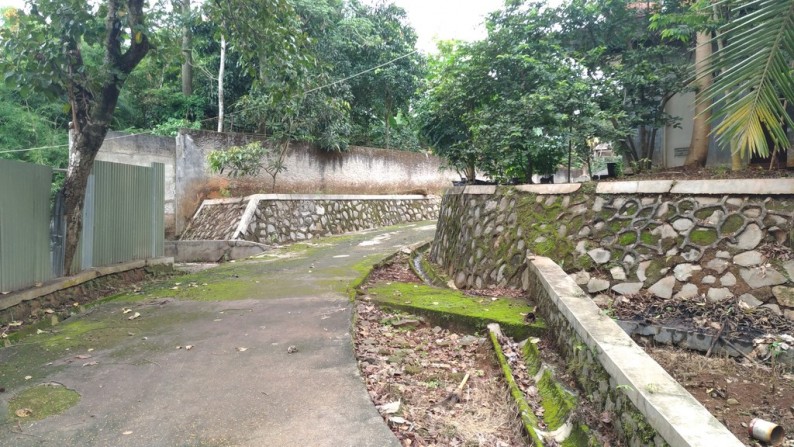 Peternakan Ayam Di Cibening Bekasi