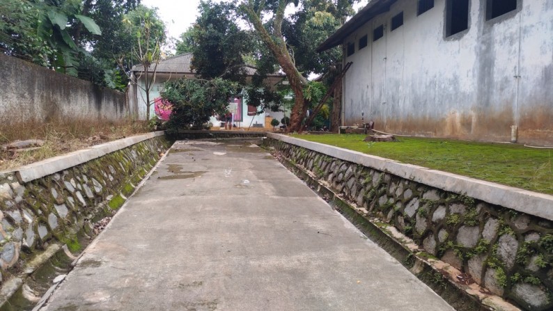 Peternakan Ayam Di Cibening Bekasi