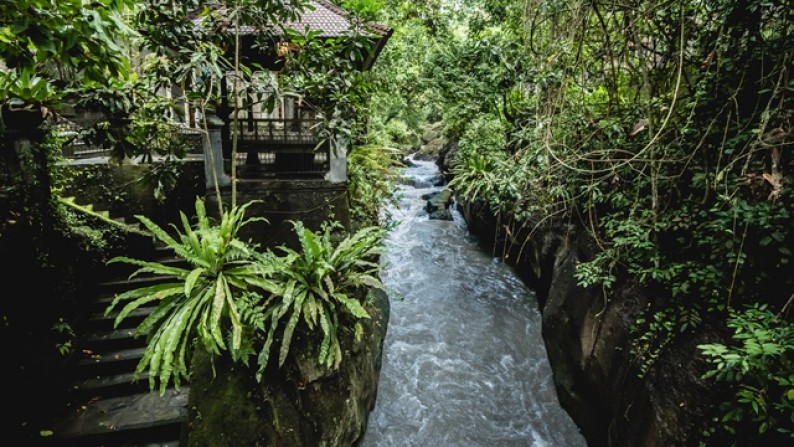 Great Value!! RIVERSIDE Villa at North Canggu