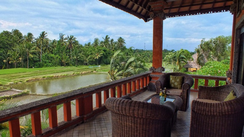 A Beautiful 6 Bedrooms Profitable Freehold Villa with Beautiful Rice Field View For Sale 20 minutes from Ubud Center