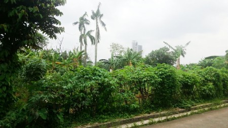 Kavling Luas di Kawasan Pondok Jaya