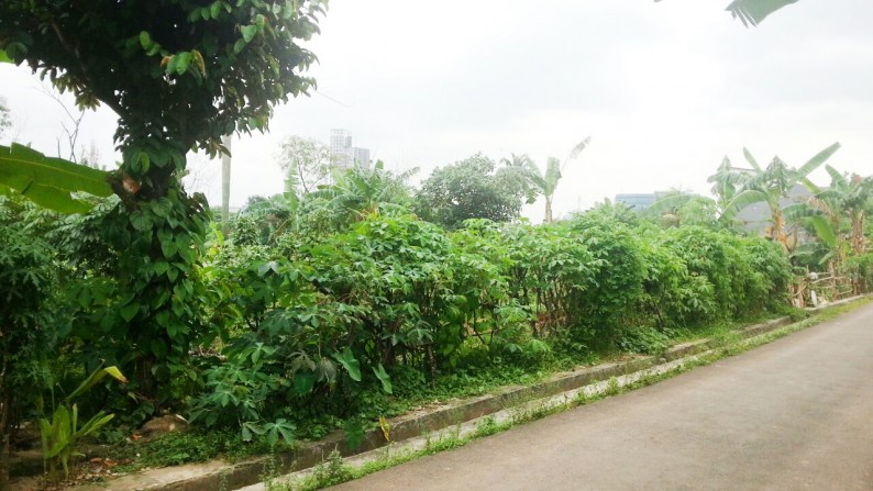 Kavling Luas di Kawasan Pondok Jaya